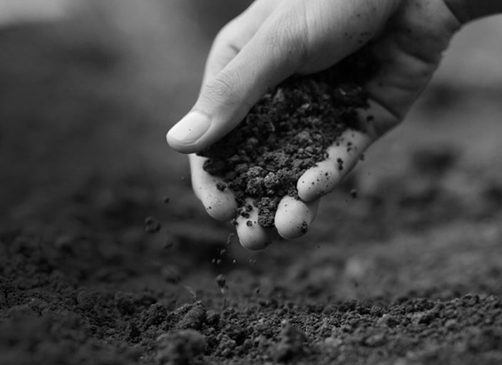 Why You Need to Consider Supplementation: Why We Can No Longer Rely on Local Food for Adequate Nutrition