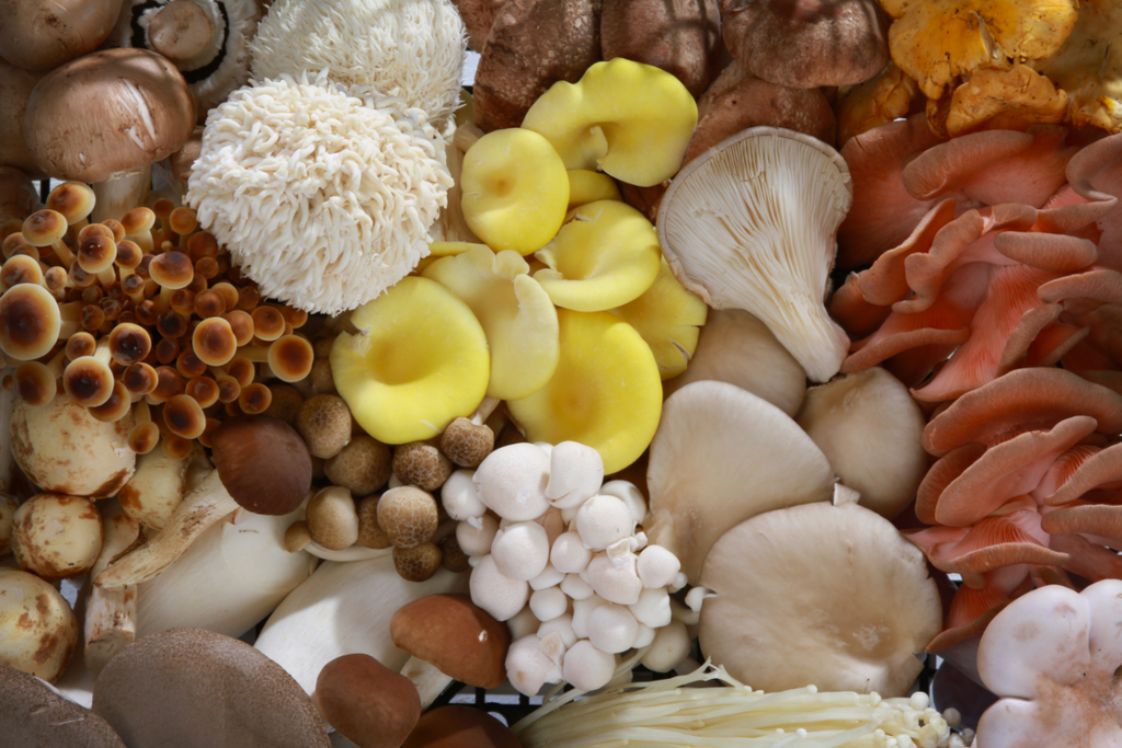7 Reasons to Eat Mushrooms, a Superfood