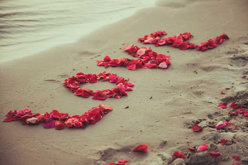Keep Your Valentine Happy