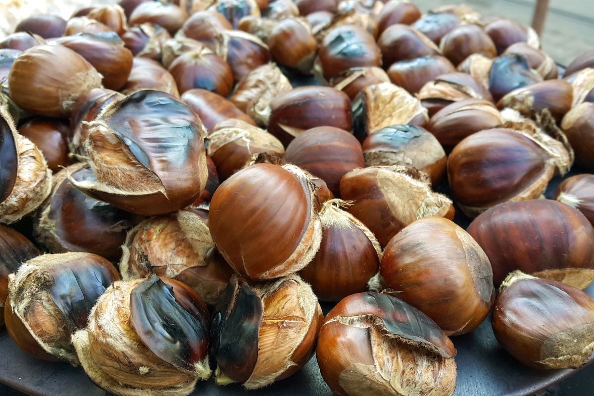Chestnuts Offer Surprising and Impressive Health Benefits