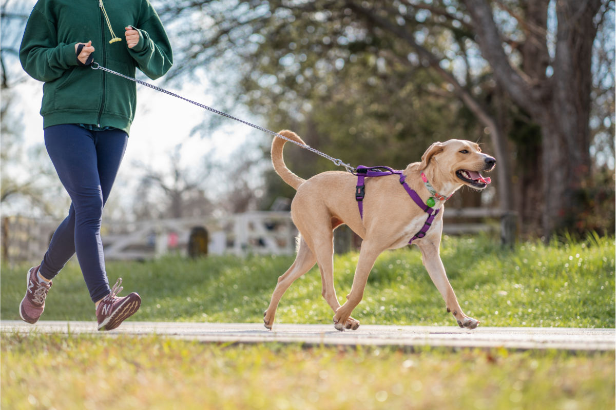 How Exercise Keeps Your Brain Healthy