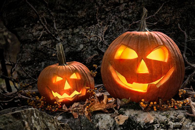 5 Scary Things About Halloween