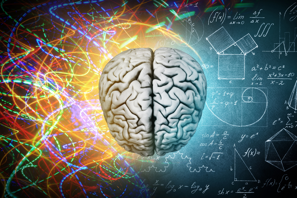 Protecting the Brain as We Age – Endurance Products Company