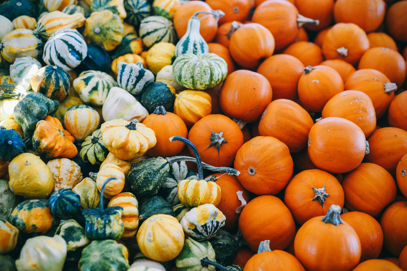 The Benefits of Eating Seasonal Produce