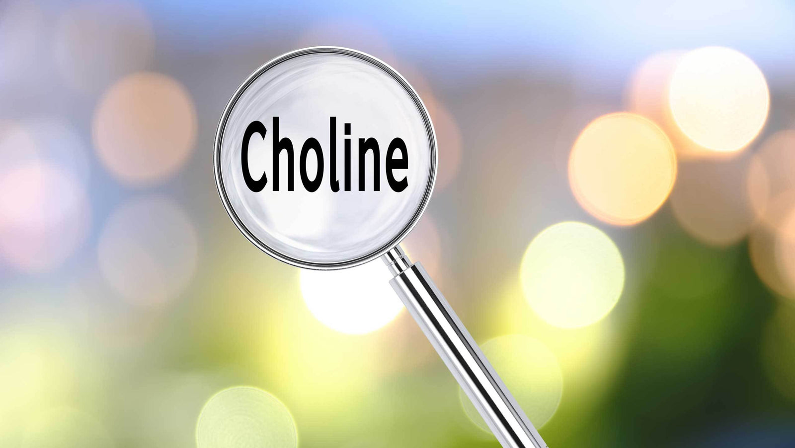 5 Things You Need to Know About Choline
